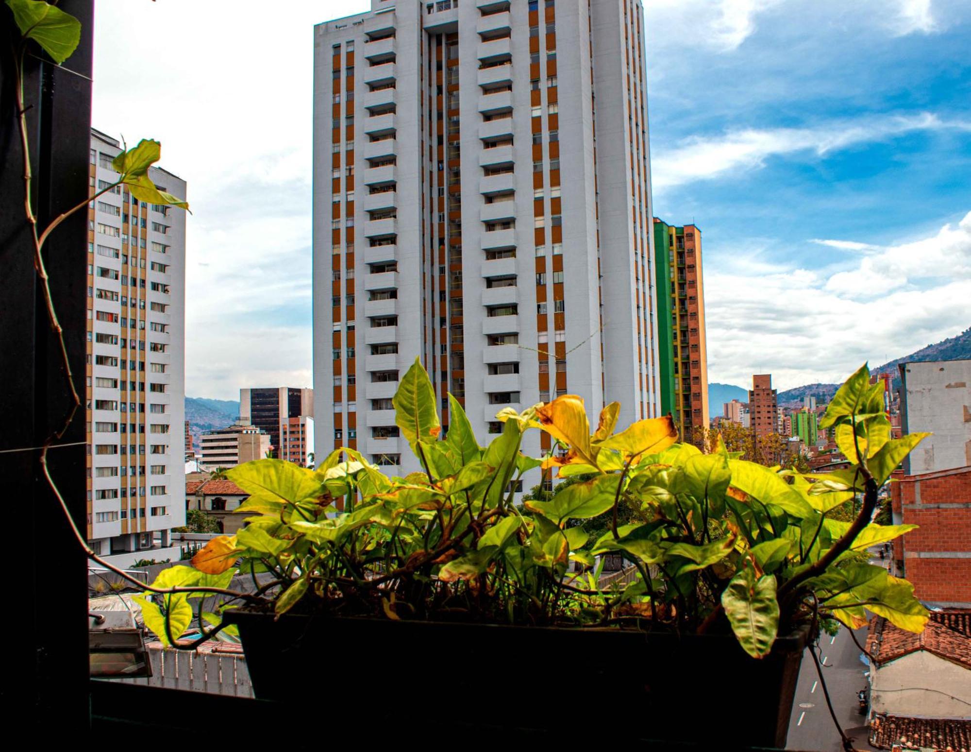 Hotel Medellin Arte Zewnętrze zdjęcie